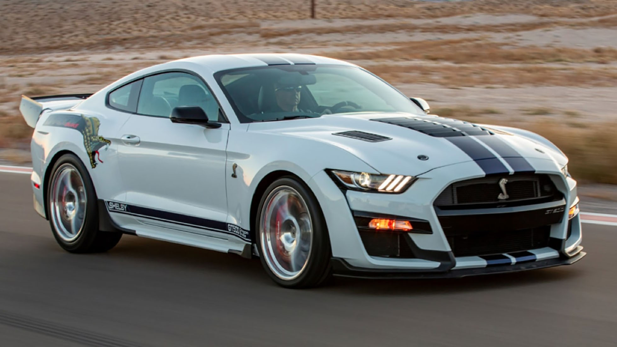 Mustang shelby gt